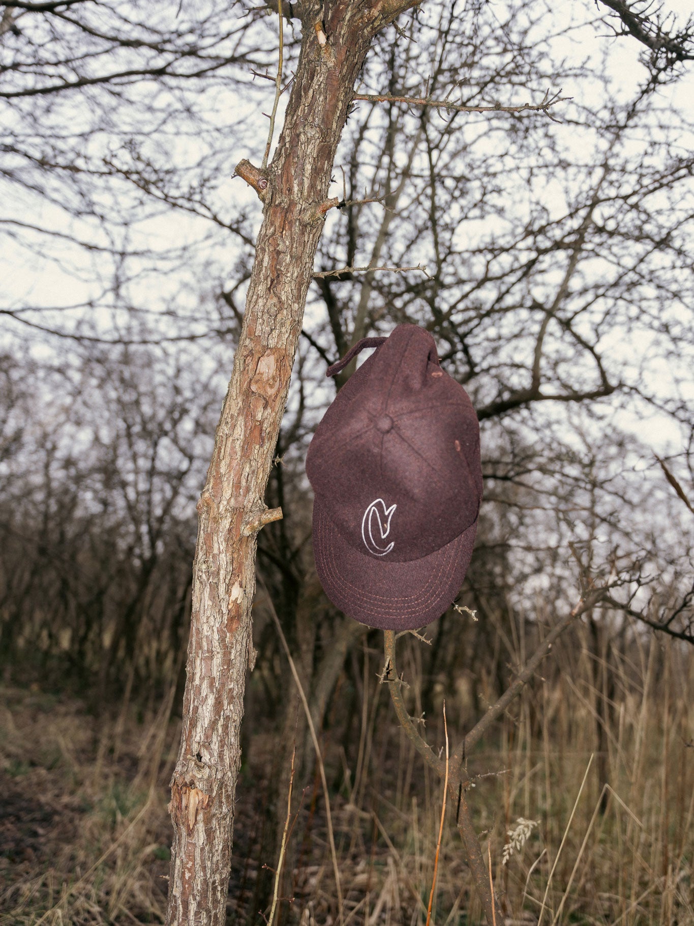 TROY CAP