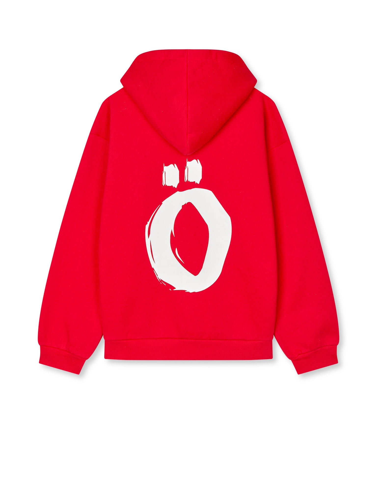 NORTH HOODIE